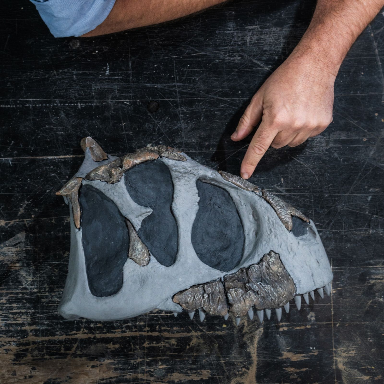 eotfdiegopol14052024086-2