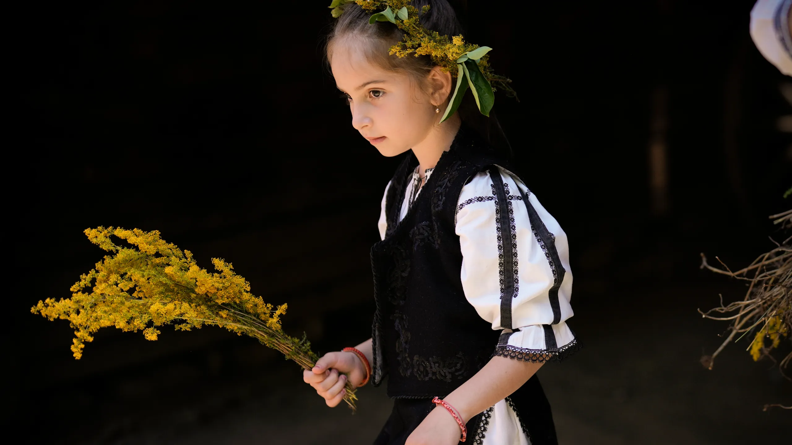 665f37ca1880b7.40056516