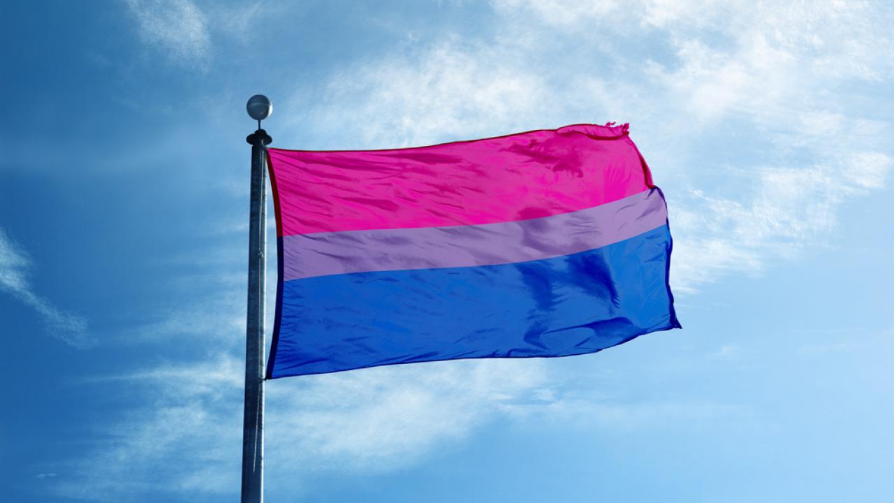 bandera-orgullo-bisexual-portada