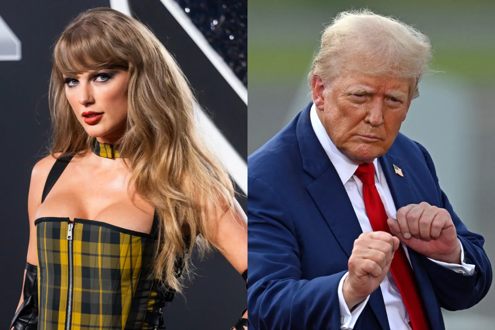 taylor-swift-donald-trump-merch