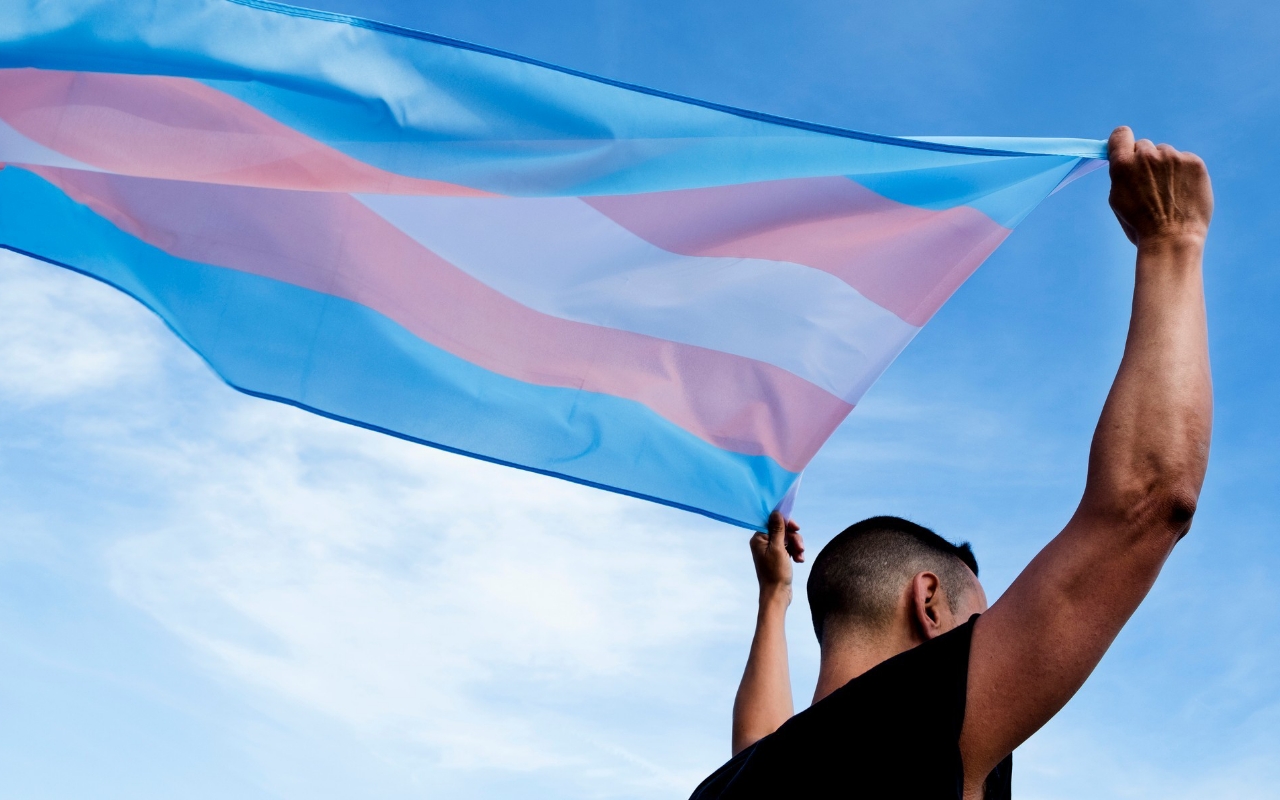bandera-trans
