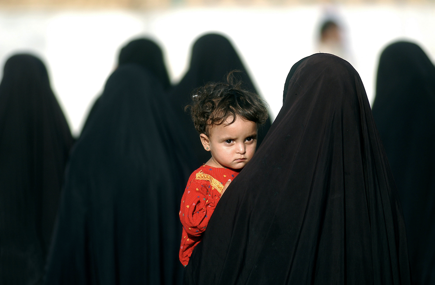 Captura de pantalla 2025-01-26 a la(s) 23.54.09