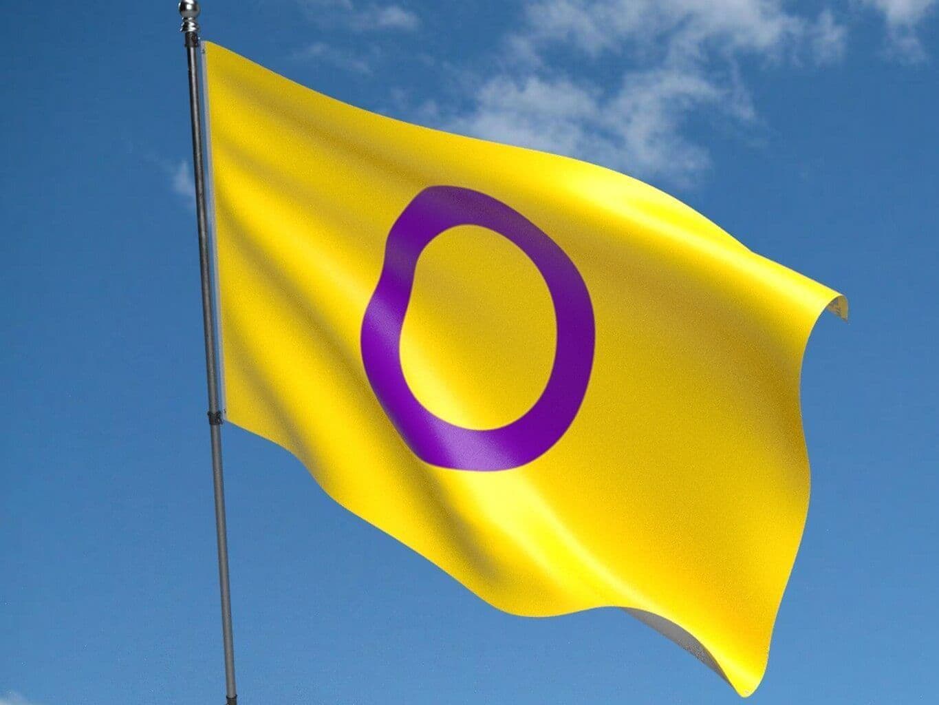 intersex-pride-5ft-x-3ft-flag-1-4125-p