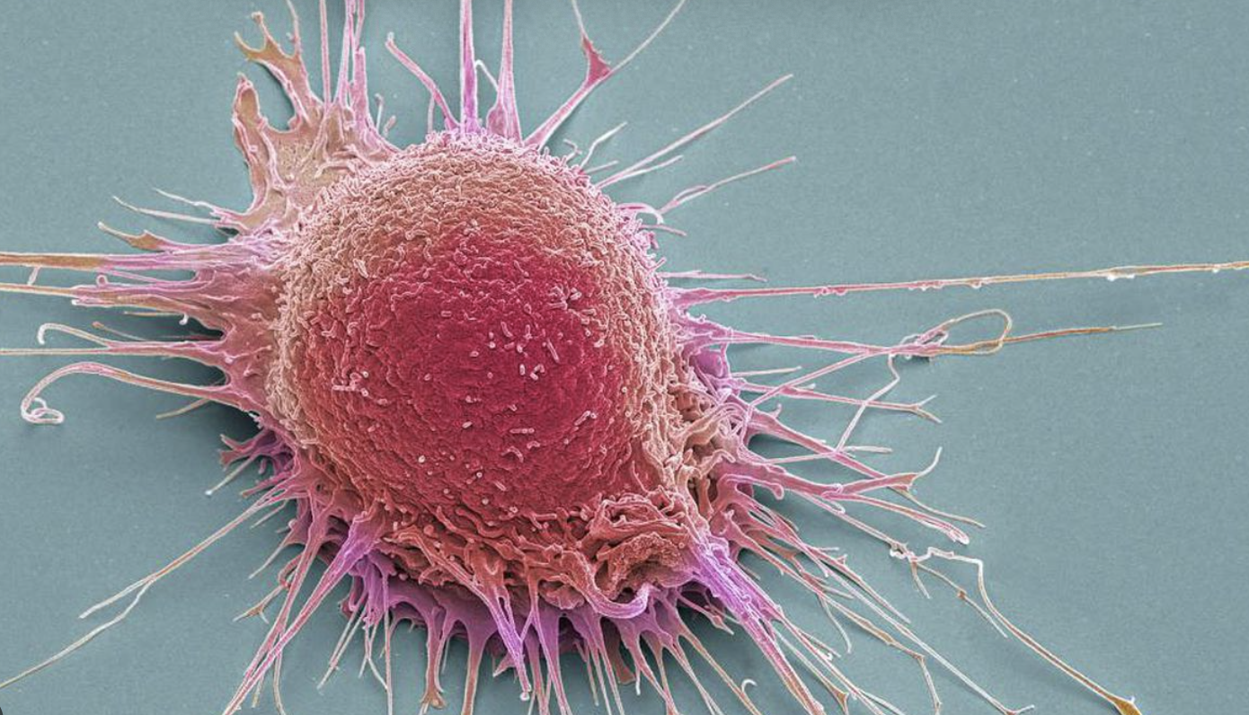 Captura de pantalla 2025-08-14 a la(s) 10.59.52