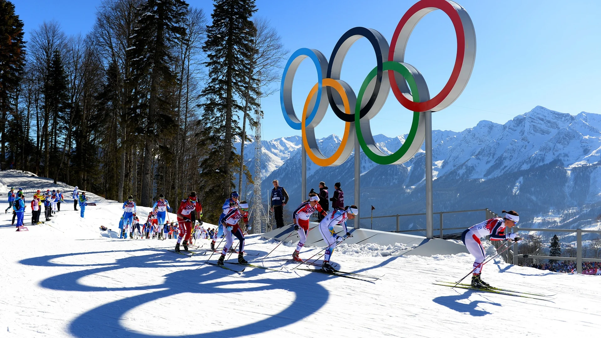 53456c7a75b146db203a558dc6b7d2bc